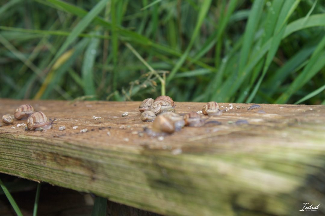 24052024-IMG_0011