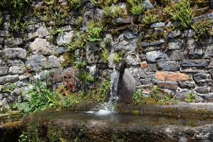 Lire la suite à propos de l’article Balade en Aveyron