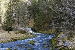 Source du Doubs