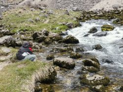 Source de la Saine