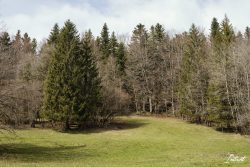 La chaux des crotenays