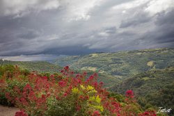 Aveyron-11