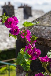 Aveyron-4