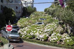 Lombard street