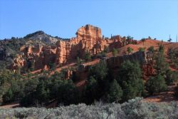 Red Canyon, UT