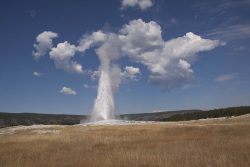Old Faithful