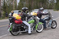 Bikers