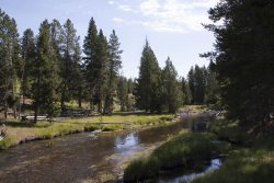Yellowstone river