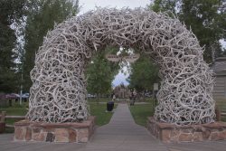 Antler Arches